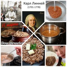 ГРЕЧНЕВАЯ КАША: СЕКРЕТЫ ПРИРОДЫ И НАУКИ В КАЖДОЙ ЛОЖКЕ